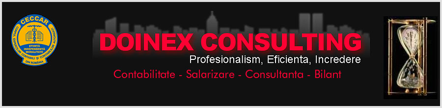 DOINEX CONSULTING Logo
