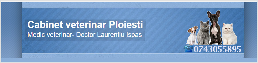 Dr.Laurentiu Ispas-cabinet veterinar-Ploiesti Logo