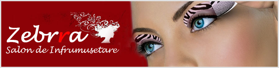 Zebrra beauty salon Logo