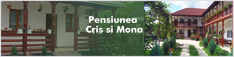 Pensiunea Cris si Mona*** jud. Maramures Logo