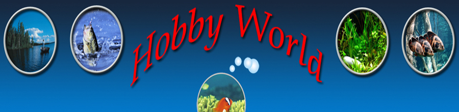 HOBBY WORLD Logo