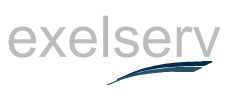 Exelserv Logo