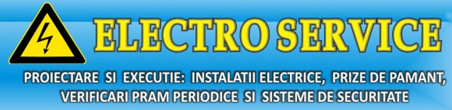 Electroserv & Security Logo