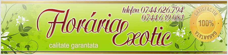 Floraria EXOTIC Logo
