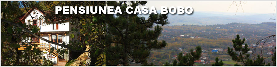 PENSIUNEA CASA BOBO Logo