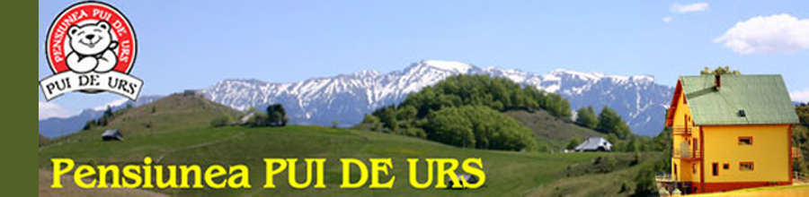 PENSIUNEA PUI DE URS - jud. BRASOV Logo