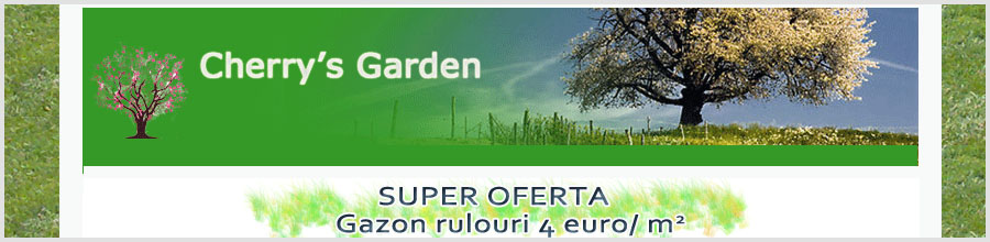 Cherry's Garden, Bucuresti - Ingrijire gradini, irigatii, drenaje Logo