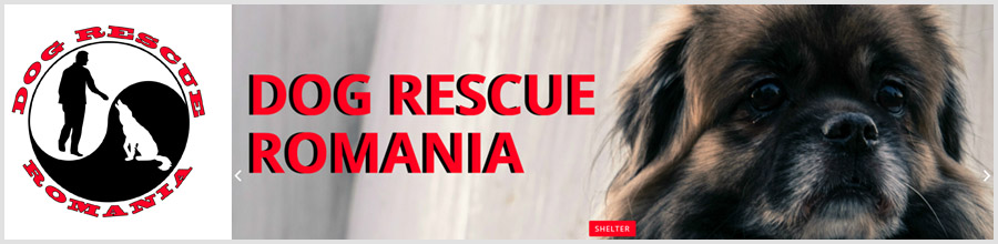 Dog Rescue Romanian Logo