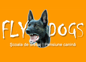Fly Dogs Logo