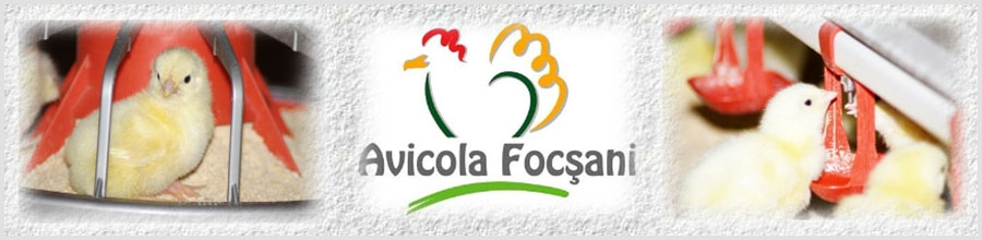 AVICOLA FOCSANI Logo