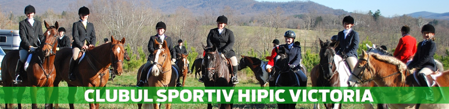 CLUBUL SPORTIV HIPIC VICTORIA Logo