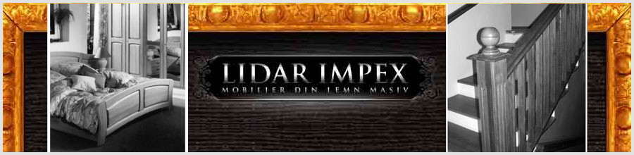 LIDAR IMPEX Logo
