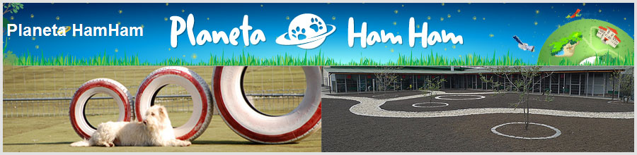 Planeta Ham Ham - pethotel Bucuresti Logo