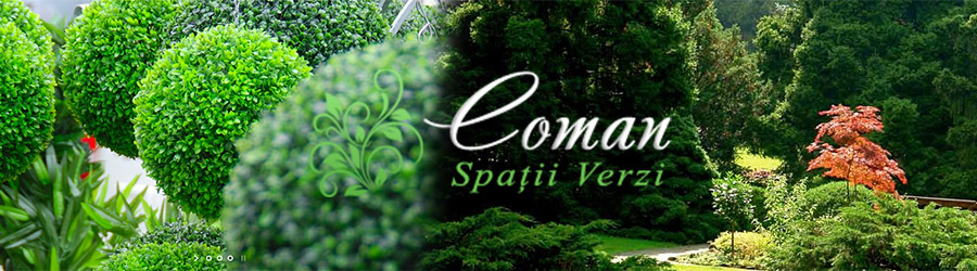 Coman Spatii Verzi, Timisoara - Amenajare si intretinere spatii verzi Logo