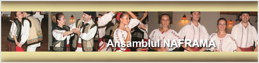 Ansamblul Folcloric Naframa - cursuri dans popular Bucuresti Logo