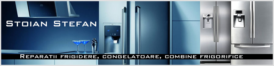 Firma autorizata Stoian Stefan - reparatii frigidere, congelatoare, combine frigorifice Bucuresti Logo