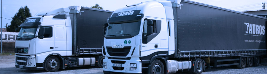 Tauros - Transport de marfuri intern si international, Bucuresti Logo