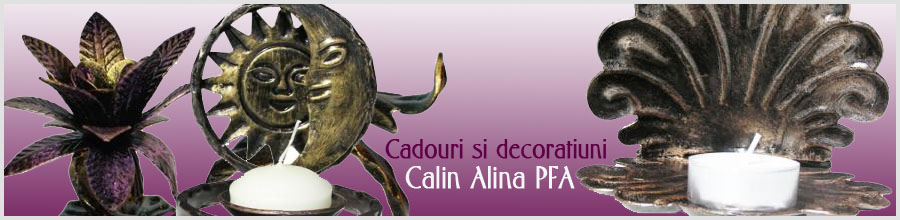Calin Alina PFA Logo