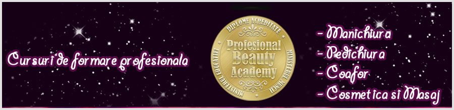 Profesional Academy Logo