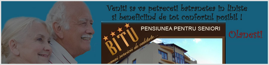 PENSIUNEA PENTRU SENIORI BITU Logo