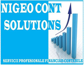 NIGEO CONT SOLUTIONS Logo