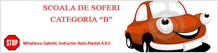 Instructor auto categoria B Bucuresti - ore suplimentare de conducere Logo