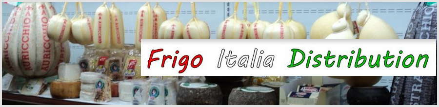 FRIGO ITALIA DISTRIBUTION Logo
