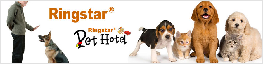 Ringstar Pet Hotel & Club Dresaj Canin Logo