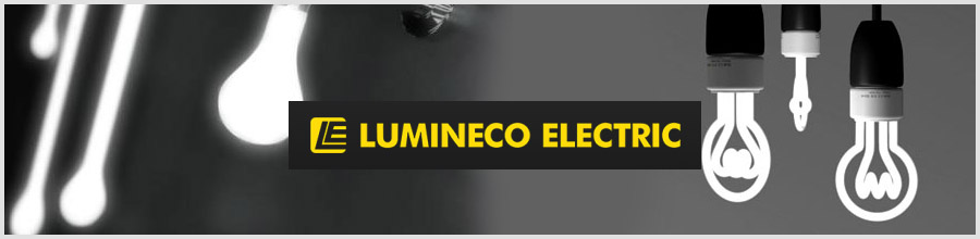 LUMINECO Logo