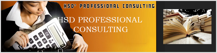 HSD PROFESSIONAL CONSULTING Logo