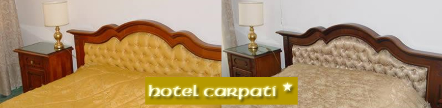 HOTEL CARPATI* Logo