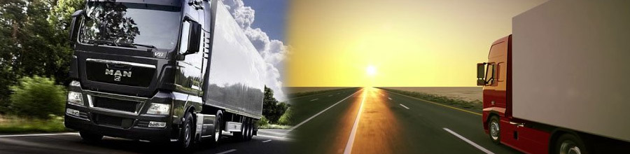 Inter Trans Logistics - Transporturi rutiere de marfa intern si international, Jilava / Ilfov Logo