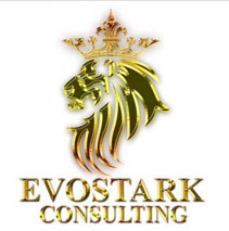 Evostark Consulting Logo