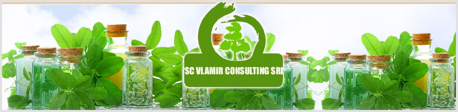 VLAMIR CONSULTING Logo